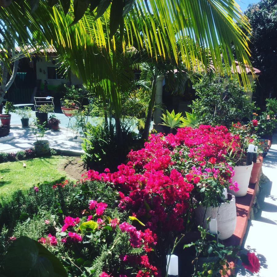Bed and Breakfast Casa de la Abuela Ajijic Exterior foto